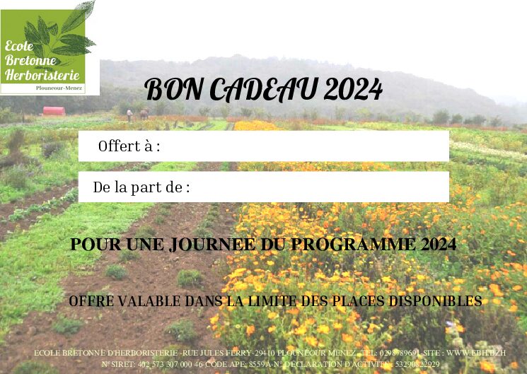 Bon cadeau journée bon cadeau journee formation