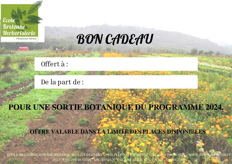 Bon cadeau sortie botanique bon cadeau sortie botanique