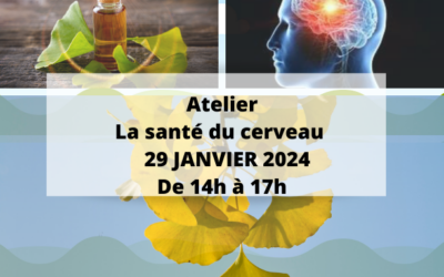 Atelier la santé du cerveau