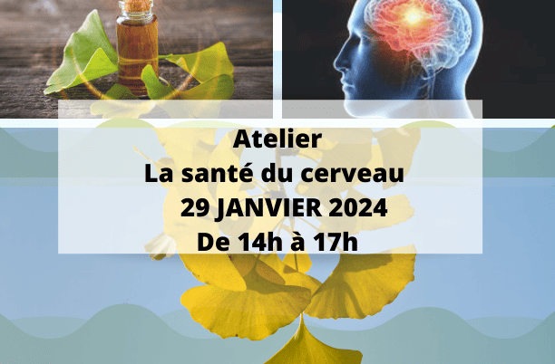 JOURNEE CERVEAU