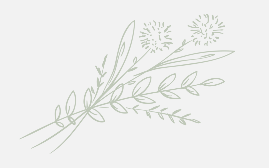 Coordinateur/rice & Animateur/rice herboriste H/F