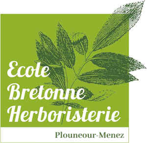 ebh ecole bretonne herboristerie logo