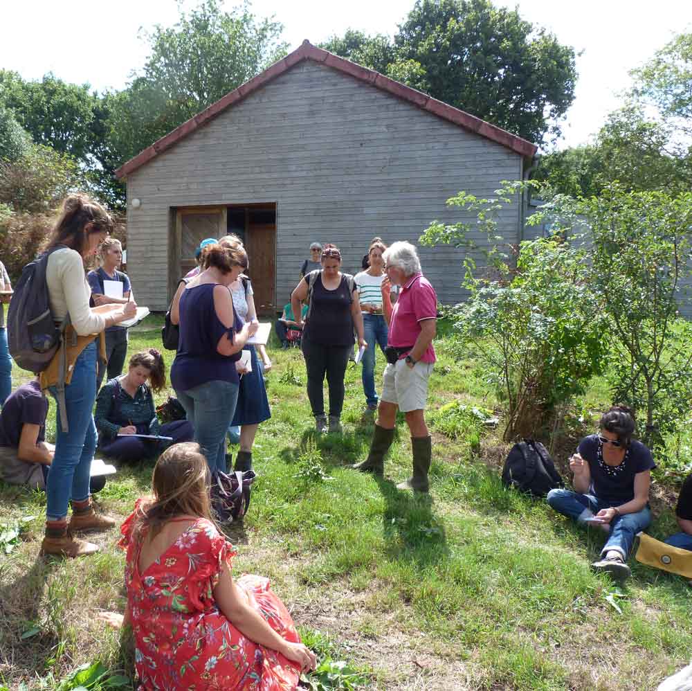 formations courtes ebh cap sante les semaines de formation